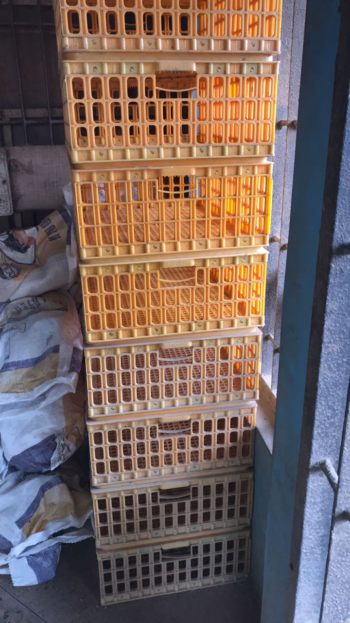 Animal care equipments